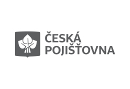 Česká pojišťovna